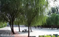 campus011.jpg