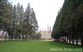 campus014.jpg
