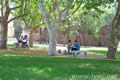 campus019.jpg