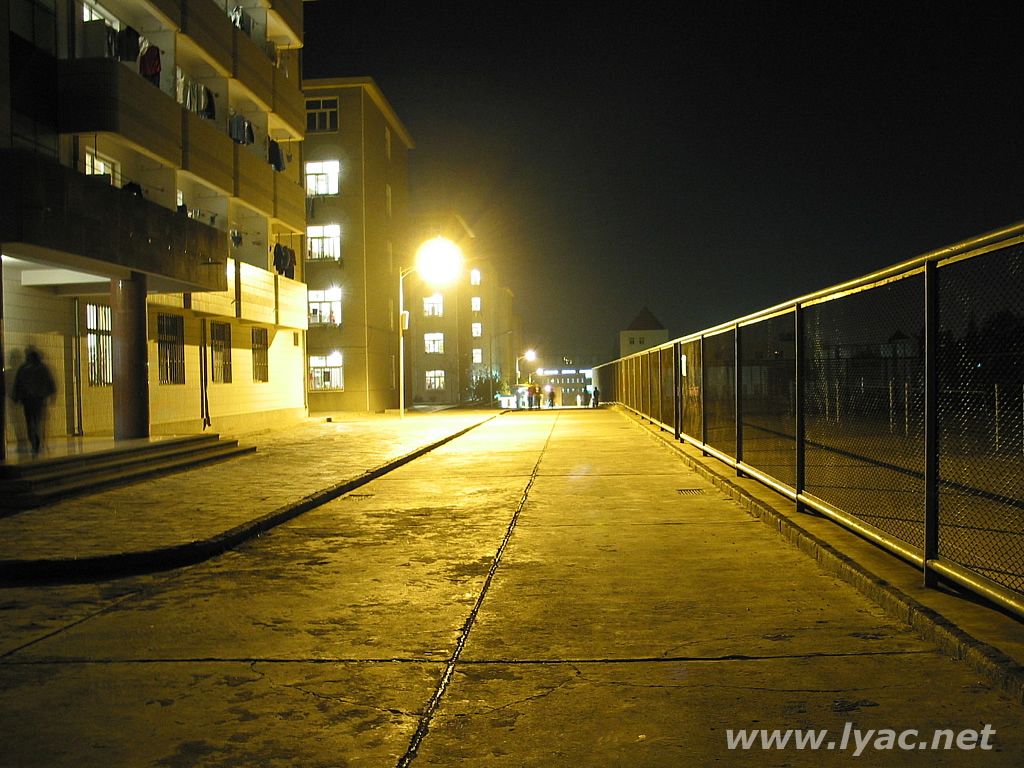 一个人的夜路;; 秋天的夜晚忙碌而孤寂; 唯美城市街道夜景图片展示