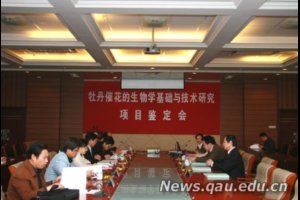 ĵ���߻�������ѧ�����뼼���о���Ŀͨ������