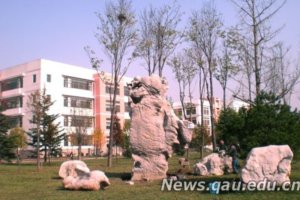 82��԰��ϵ����רҵУ�Ѿ�������ʯ�仧