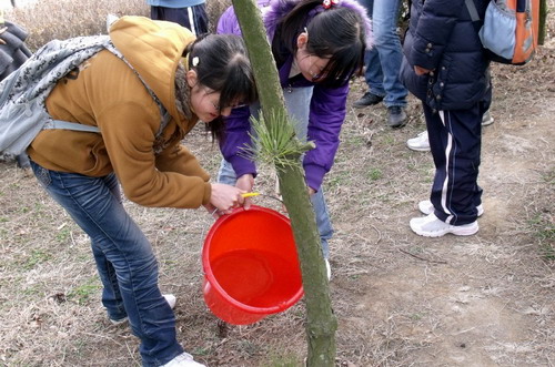 植树节资环学院大学生开展美化校园活动_学生_青岛农业大学新闻网