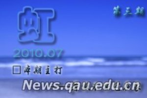 ������־���硷������