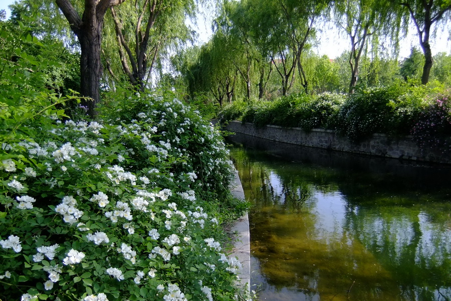 校园四季 第4页