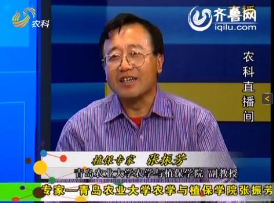 农科直播间20121008：植保专家 张振芳