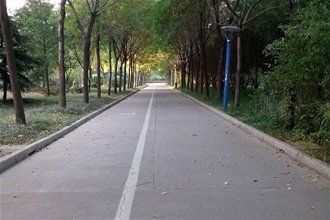 青岛农大在线 青岛农业大学新闻网 News.qau.