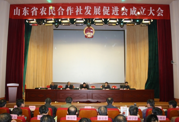 收入证明_山东省农民收入(3)