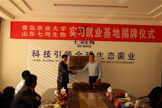 英语专业八级通过率再创新高