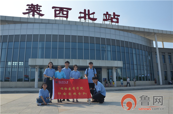 鲁网青岛7月19日讯(记者 赵光 通讯员 张旭萌) 7月15日,青岛农业大学山东省一二三产融合发展典型案例调研团队青岛-烟台小队来到莱西市河头店镇,对沁楠香生态园及其周边农户进行了一系列走访采访,对当前美丽乡村建设和特色乡村旅游融合发展的融合铺就了新时代大学生的探索之路。 青岛农大调研小分队此次实践调研活动是为了深入贯彻落实党的十九大关于促进农村一二三产业融合发展的决策部署以及提高大学生实践能力和社会责任感的基础上,对莱西市沁楠香生态园以及周边村庄关于一二三产业融合发展状况问题进行了为期两