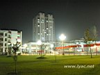 IMG_3928.jpg