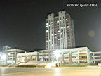IMG_3943.jpg