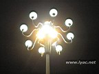 IMG_3945.jpg