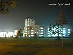 IMG_3950.jpg