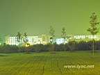 IMG_3956.jpg