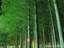 IMG_3101.jpg