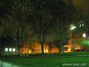 IMG_3127.jpg