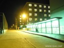 IMG_3250.jpg