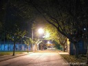 IMG_3291.jpg