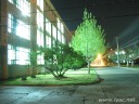 IMG_3313.jpg