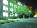 IMG_3315.jpg