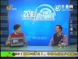 植保专家张振芳解答果树病虫害问题