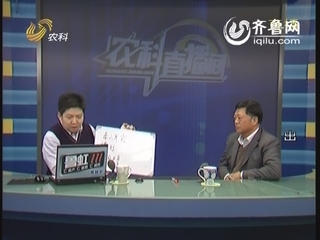 农科直播间：果树专家 刘成连