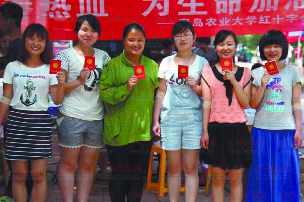 1024×682