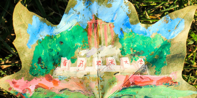 秋日私语——树叶上的青农