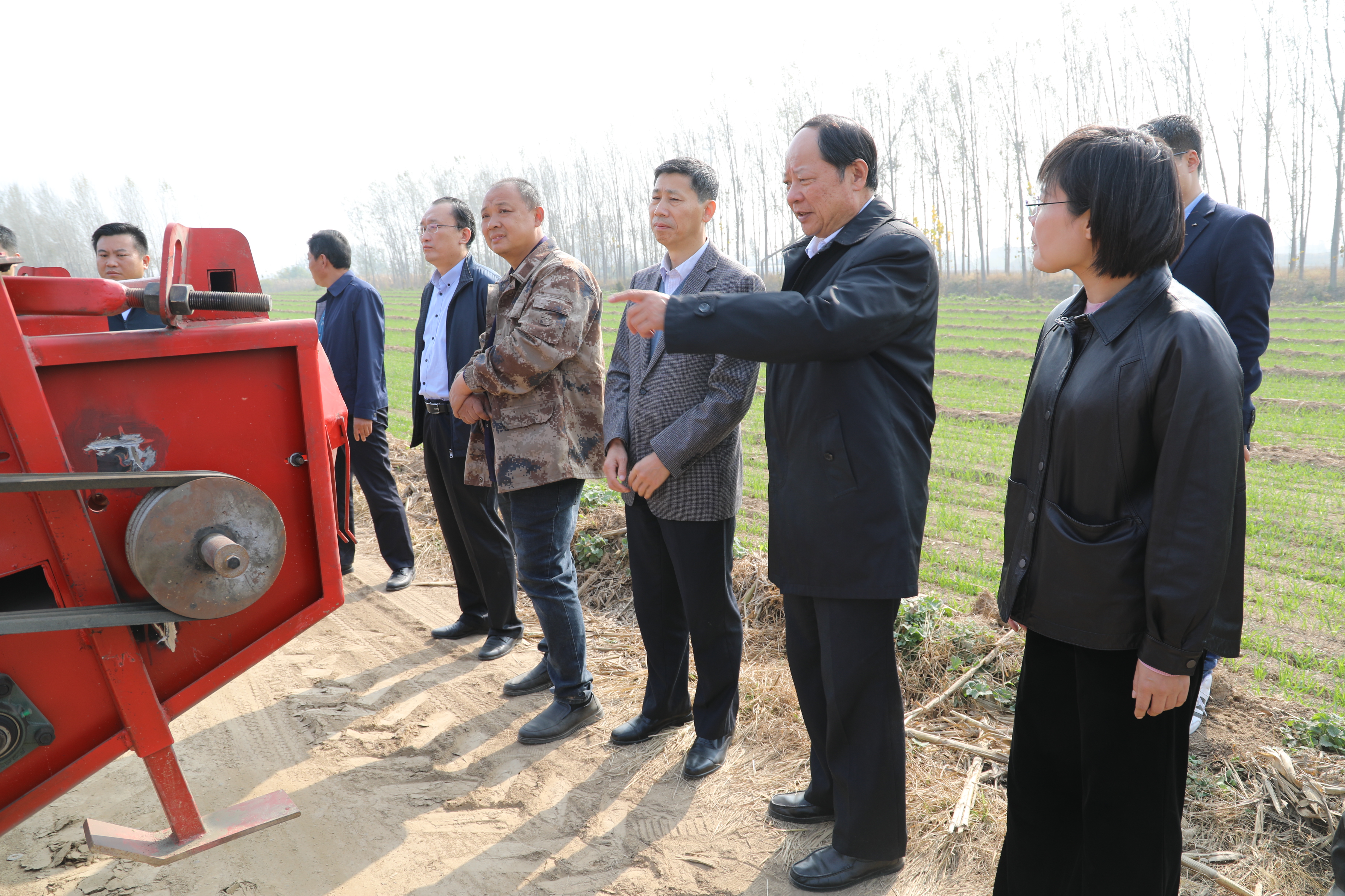 山东邹平孙镇图片