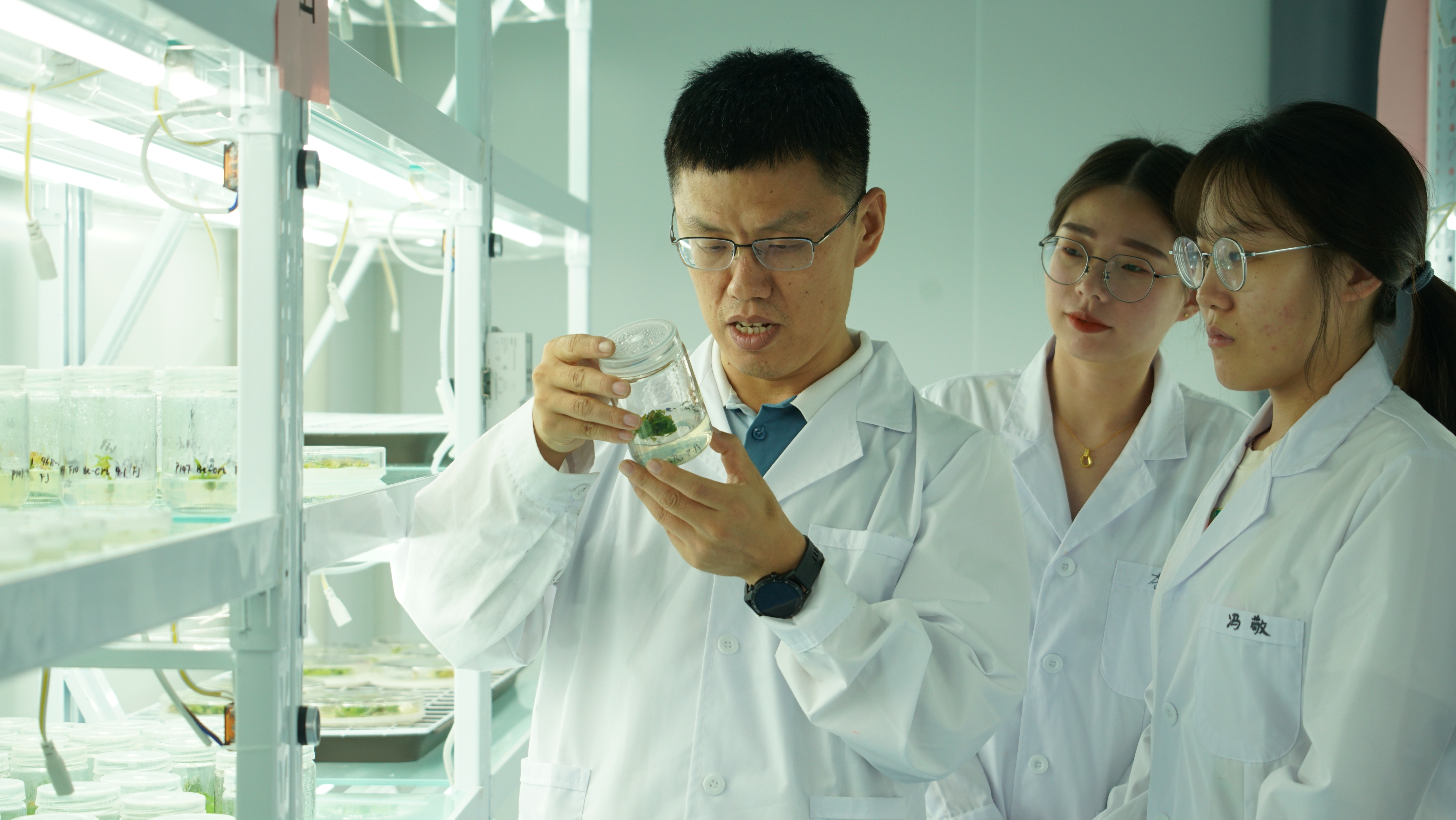 学校国家杰出青年科学基金项目取得重大突破