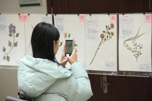 青岛农大第一届中草药植物展（组图）