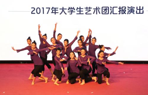 2017大学生艺术团汇报演出（组图）