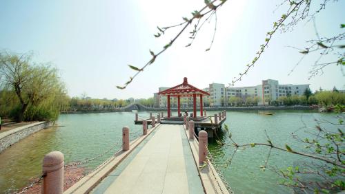 2020年，青岛农业大学的第一朵花开了！