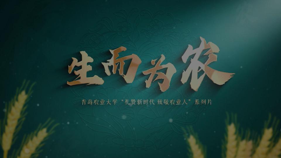 生而为农丨接力！种好一棵“树”！