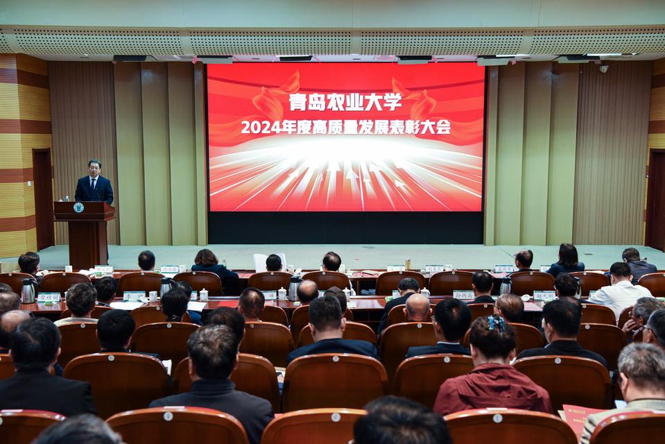 凝心聚力再攀新高 学校举行高质量发展表彰大会