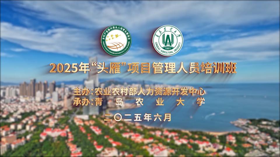 2025年“头雁”项目管理人员培训班