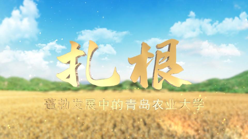 扎根——蓬勃发展中的青岛农业大学