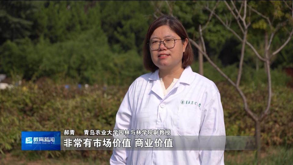 山东教育新闻：绿牡丹为什么绿，青岛农大揭开“生命密码”